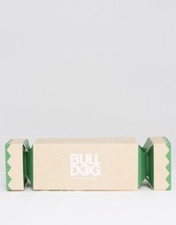 Увлажняющее средство с упаковкой в форме хлопушки Bulldog - Мульти