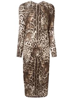 платье с принтом кошек Dolce &amp; Gabbana
