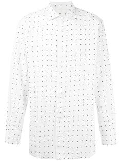 polka dots shirt Roda