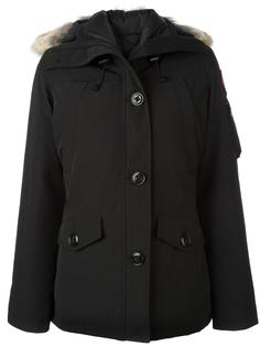 парка 'Montebello'  Canada Goose