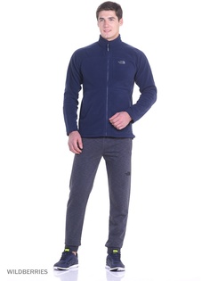 Брюки The North Face