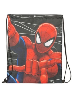 Рюкзаки Spider-man Classic