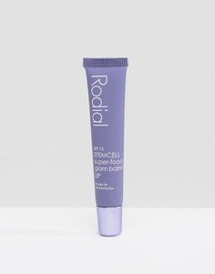 Бальзам для губ с SPF15 от Rodial Glambalm - Бесцветный