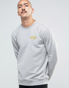 Patagonia Sweatshirt With Chest Logo In Regular Fit Grey - Серый