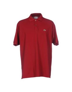 Поло Lacoste