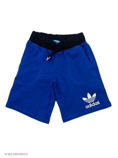 Шорты Adidas
