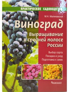 Книги Издательство Фитон XXI