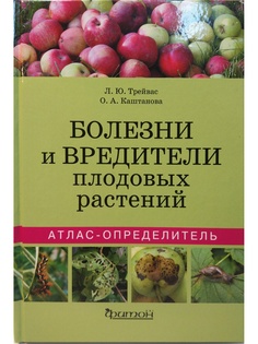 Книги Издательство Фитон XXI