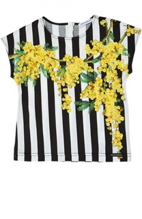 Топ Dolce &amp; Gabbana