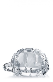 Черепаха Zoe Baccarat