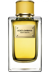 Парфюмерная вода Velvet Collection Ginestra Dolce & Gabbana