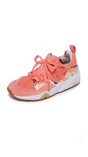 Кроссовки Bog Caro с рисунком Puma