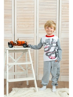 Джемперы Goldy