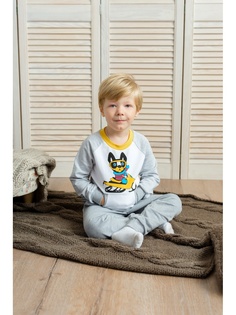 Джемперы Goldy