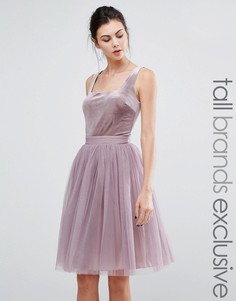 Короткое приталенное платье с бархатным лифом и тюлевой юбкой Little Mistress Tall - Фиолетовый