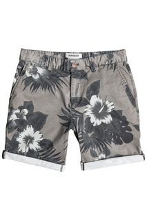 Шорты Quiksilver