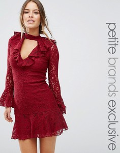 Кружевное короткое приталенное платье с оборкой на кромке John Zack Petite - Красный