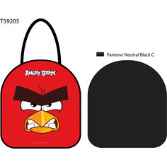 Ледянка,  42х38 см, прямоугольная, Angry Birds, 1toy -