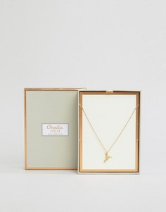 Позолоченное ожерелье с колибри в подарочной упаковке Orelia - Золотой