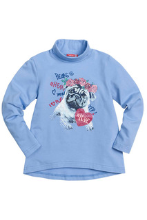 Джемпер Pelican