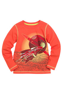 Джемпер Pelican