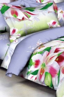 Постельное белье 2 сп., 70x70 Французский стиль