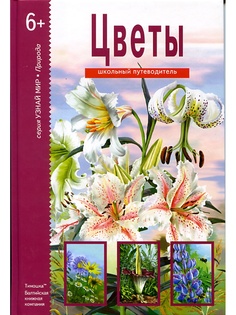 Книги Издательство Тимошка