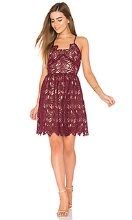 Fit and flare lace dress - J.O.A.