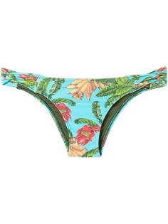 printed bikini bottom Blue Man