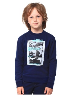 Свитшоты Vilatte