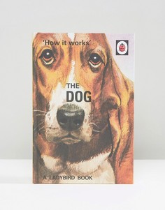 Книга The Ladybird Book of The Dog - Мульти Books