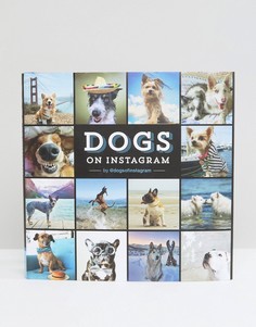 Книга Dogs of Instagram - Мульти Books