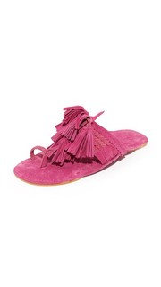 Scaramouche Sandals Figue