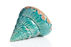 Предмет декора "Marine Shells Teal" DG