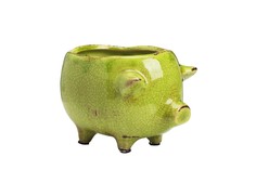 Цветочный горшок "Pig Planter" DG