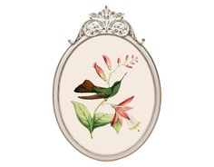 Репродукция гравюры «Птица счастья» в раме «Офелия» Object Desire