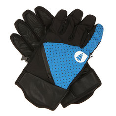Перчатки сноубордические Picture Organic Mappy Glove Blue