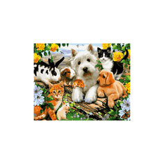 Роспись по номерам "Домашние питомцы" 40*50 см Tukzar