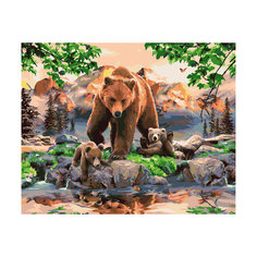 Роспись по номерам "Медведь" 40*50 см Tukzar