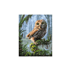 Роспись по номерам "Сова" 40*50 см Tukzar