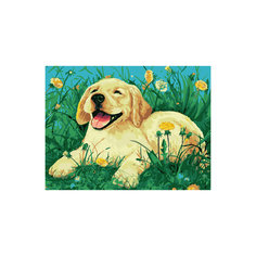 Роспись по номерам "Довольный лабрадор в траве" 30*40 см, детская серия Tukzar