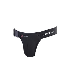 Защита Larsen