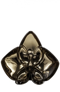 Орхидея золотая Orchid Baccarat