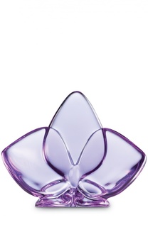 Орхидея фиолетовая Orchid Baccarat