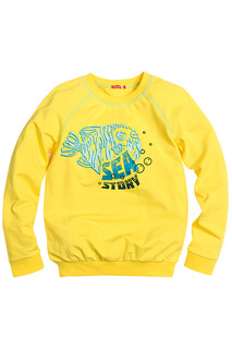 Джемпер Pelican