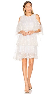 Embroidered tulle dress - Needle &amp; Thread