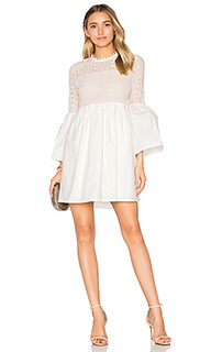 Flare sleeve lace mini dress - Endless Rose