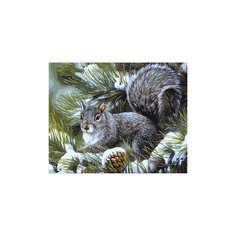 Роспись по номерам "Белка" 40*50 см Tukzar