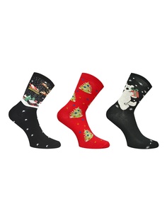 Носки Master Socks