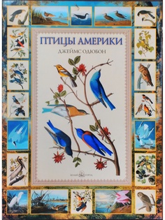 Книги Белый город